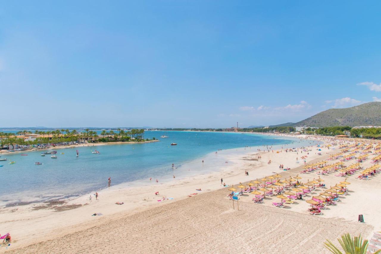 Oliva Alcúdia